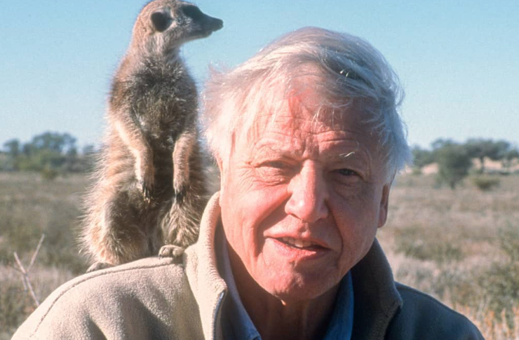 David Attenborough: Το μυστικό μακροζωίας του 99χρονου βιολόγου που παραμένει σφριγηλός και δραστήριος