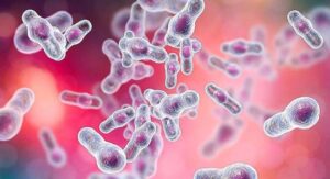Λοίμωξη από C. difficile: Η μεταμόσχευση εντερικής χλωρίδας ως νέα θεραπευτική επιλογή