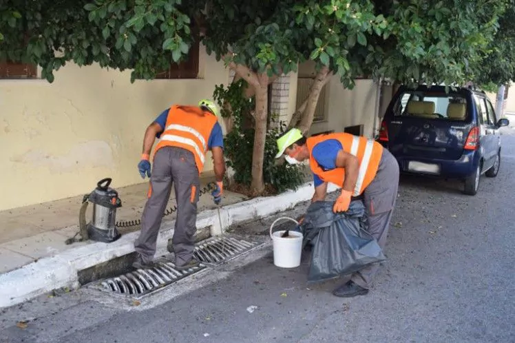 Κατσαρίδες: Πόσο ανθεκτικές έχουν γίνει και ποια είναι τα βασικά μέτρα πρόληψης