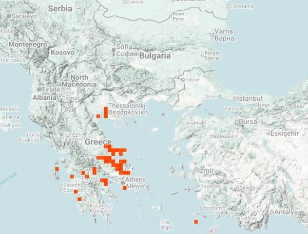 Μωβ μέδουσες: Τα επώδυνα συμπτώματα από το τσίμπημα και ο χάρτης με τις απαγορευμένες παραλίες