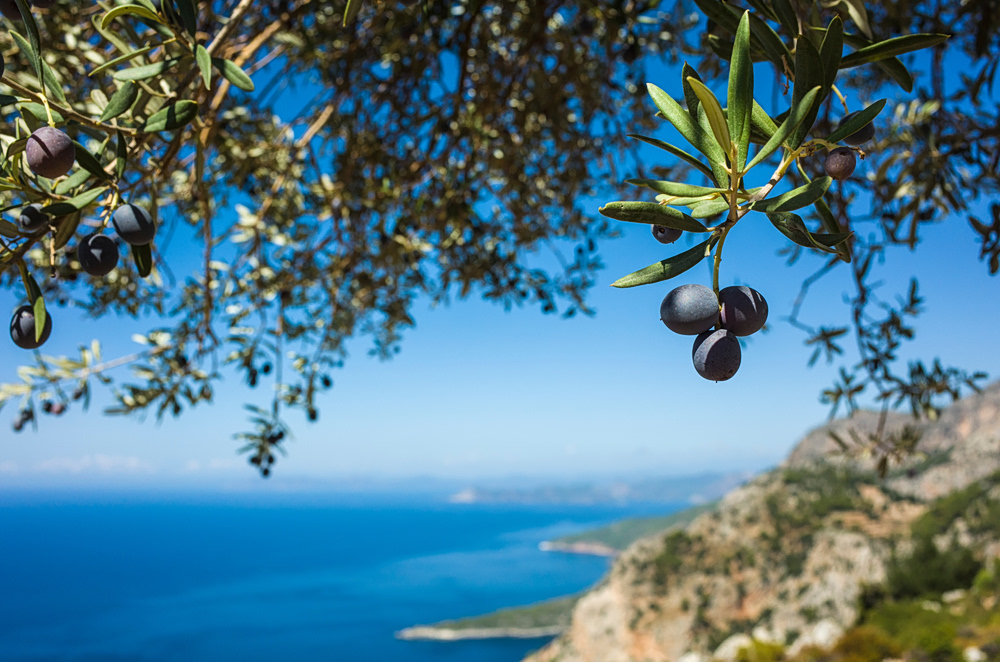 Η διατροφή SEAD στην Ουρένσε συνδέεται με ευζωία και μακροζωία