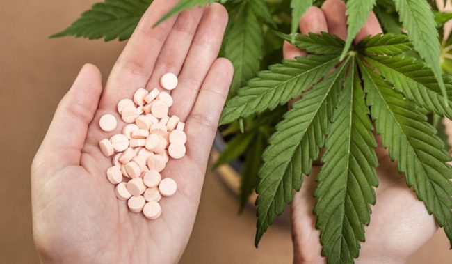 Η Curity Pharma ξεκινά τη διάθεση των πρώτων προϊόντων φαρμακευτικής κάνναβης και στην ελληνική αγορά